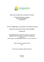 Miniatura