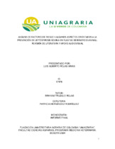 Miniatura