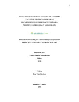 Miniatura