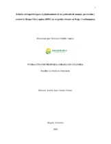 Miniatura